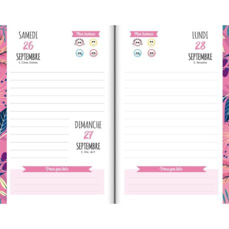 DISPLAY 20 AGENDAS SCOLAIRES 2026-2027 (4 MODELES / 5 EX)