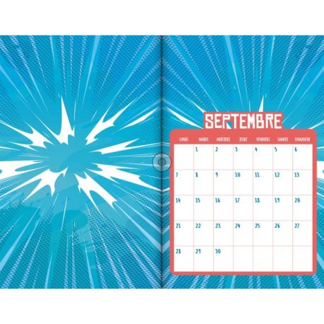 DISPLAY 20 AGENDAS SCOLAIRES 2026-2027 (4 MODELES / 5 EX)