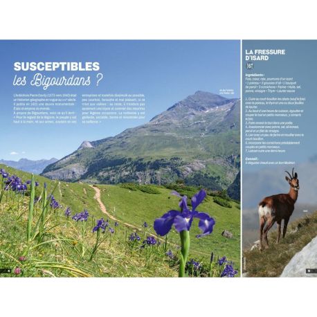 HAUTES PYRENEES VALLEES DES GAVES