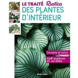 LE TRAITE RUSTICA DES PLANTES D'INTERIEUR