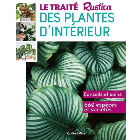 LE TRAITE RUSTICA DES PLANTES D'INTERIEUR