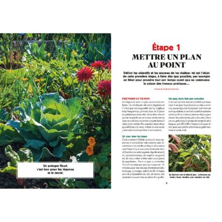 REUSSIR MON PREMIER POTAGER EN 10 ETAPES