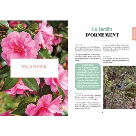 MON JARDIN MOIS PAR MOIS