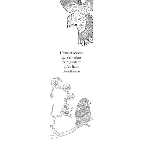 ELOGE DES OISEAUX MARQUE-PAGES A COLORIER