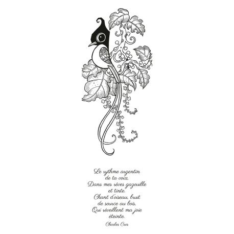 ELOGE DES OISEAUX MARQUE-PAGES A COLORIER