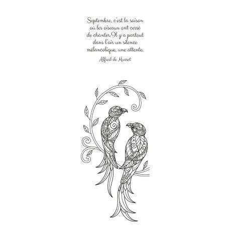 ELOGE DES OISEAUX MARQUE-PAGES A COLORIER