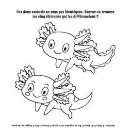 ADORABLES AXOLOTLS - BLOC COLORIAGE ET ACTIVITES + 5 CRAYONS AVEC GOMME