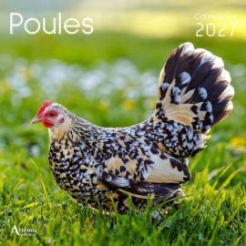 CALENDRIER POULES 2027