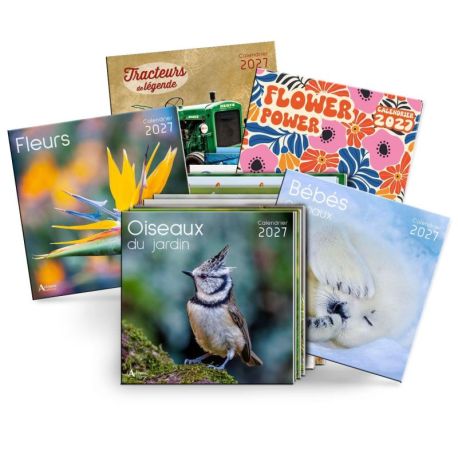 PACK 126 EX CALENDRIERS 2027