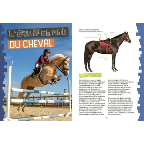 MES PREMIERS PAS EN ÉQUITATION