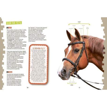 MES PREMIERS PAS EN ÉQUITATION