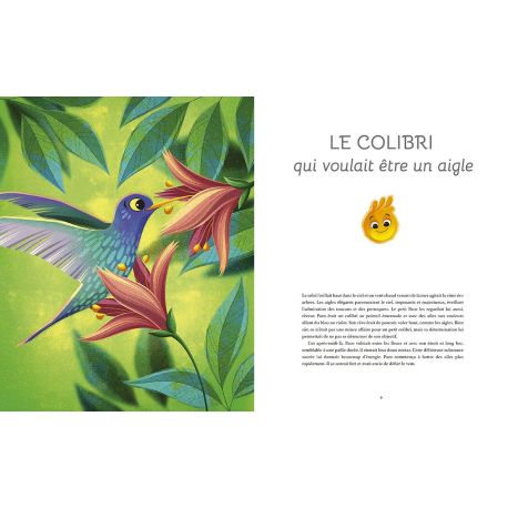 LES EMOTIONS - DES HISTOIRES TENDRES POUR MIEUX LES COMPRENDRE