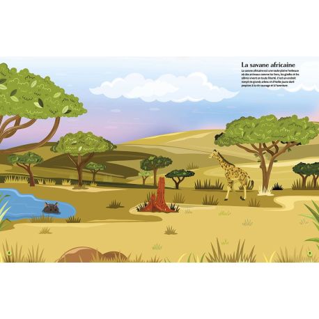 STICKERS - LE MONDE DES ANIMAUX + DE 340 STICKERS