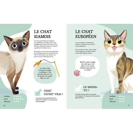 A CHACUN SON ANIMAL : COMMENT BIEN LE CHOISIR