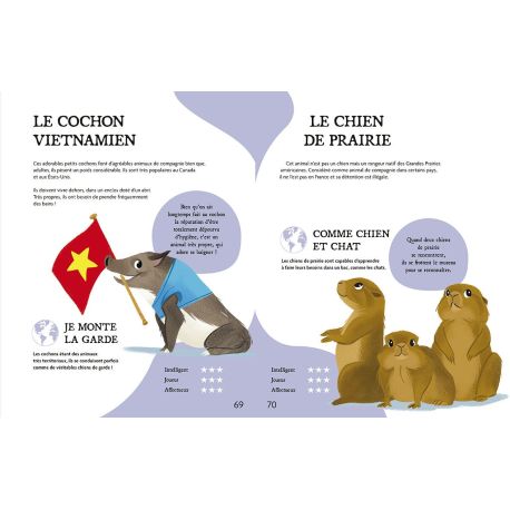 A CHACUN SON ANIMAL : COMMENT BIEN LE CHOISIR