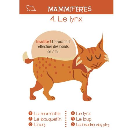 MONTAGNE - JEU DES 7 FAMILLES 44 CARTES