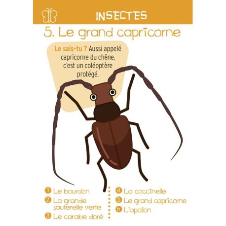 MONTAGNE - JEU DES 7 FAMILLES 44 CARTES