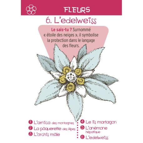 MONTAGNE - JEU DES 7 FAMILLES 44 CARTES