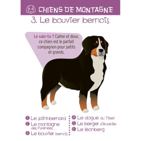 MONTAGNE - JEU DES 7 FAMILLES 44 CARTES