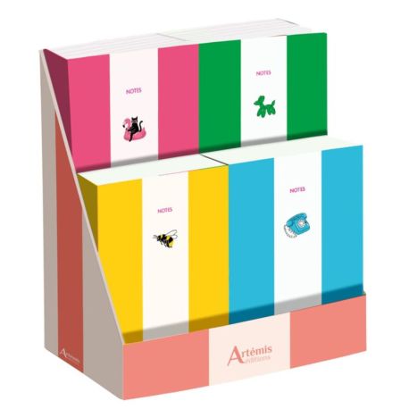 DISPLAY 24 EX CARNETS DE NOTES