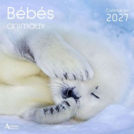 CALENDRIER BEBES ANIMAUX 2027