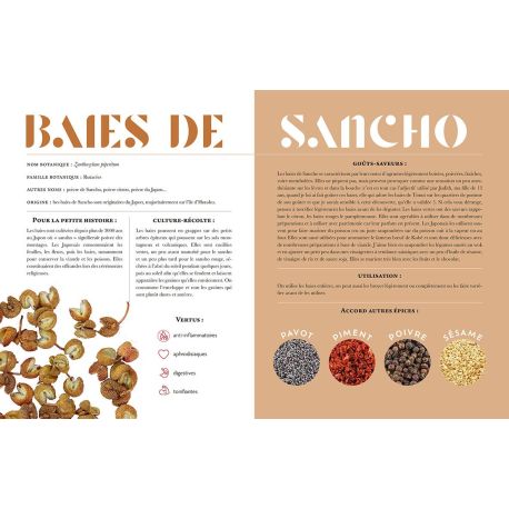 CONNAÎTRE, MARIER ET SAVOURER LES EPICES