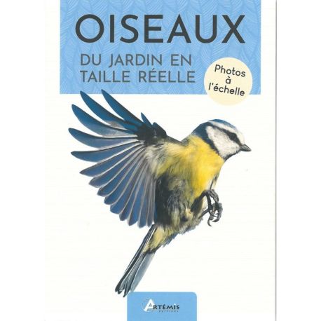 OISEAUX DU JARDIN EN TAILLE REELLE