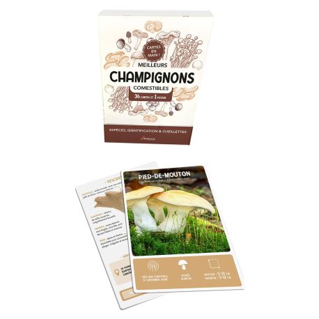 COFFRET MEILLEURS CHAMPIGNONS COMESTIBLES - 36 CARTES + 1 POSTER