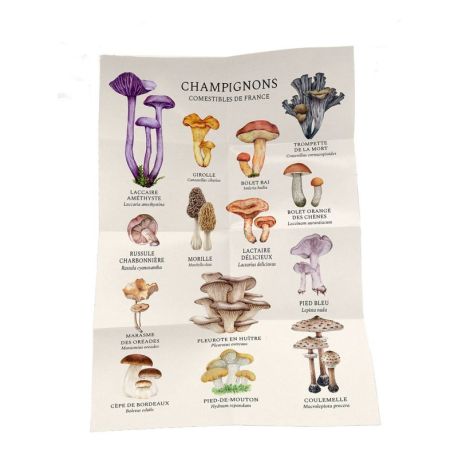 COFFRET MEILLEURS CHAMPIGNONS COMESTIBLES - 36 CARTES + 1 POSTER