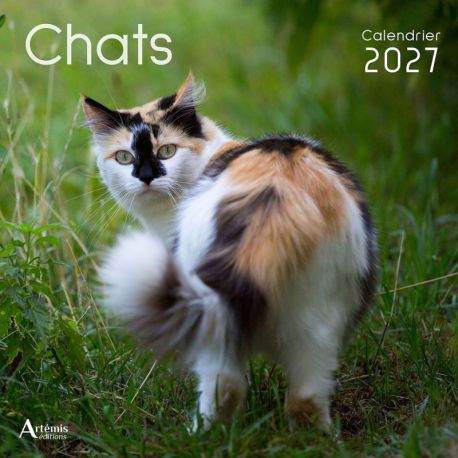 CALENDRIER CHATS 2027