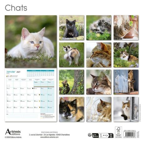 CALENDRIER CHATS 2027