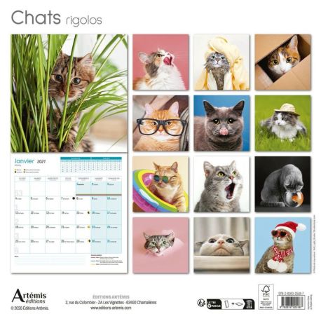 CALENDRIER CHATS RIGOLOS 2027