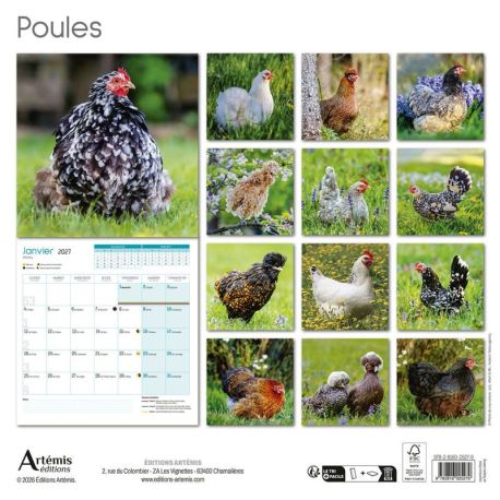 CALENDRIER POULES 2027