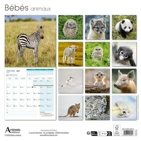 CALENDRIER BEBES ANIMAUX 2027