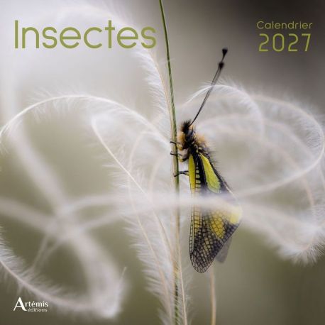 CALENDRIER INSECTES 2027