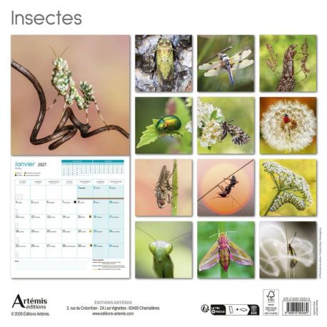 CALENDRIER INSECTES 2027