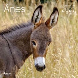 CALENDRIER ANES 2027