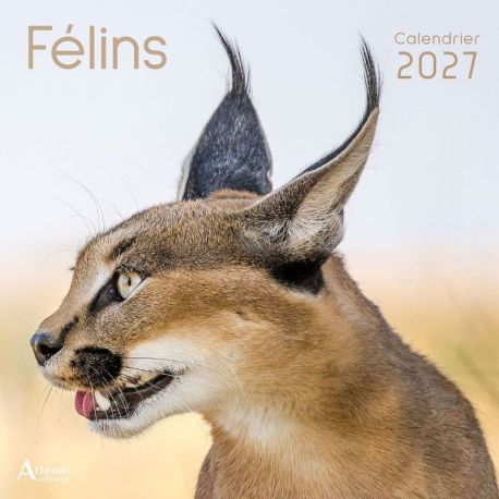 CALENDRIER FELINS 2027