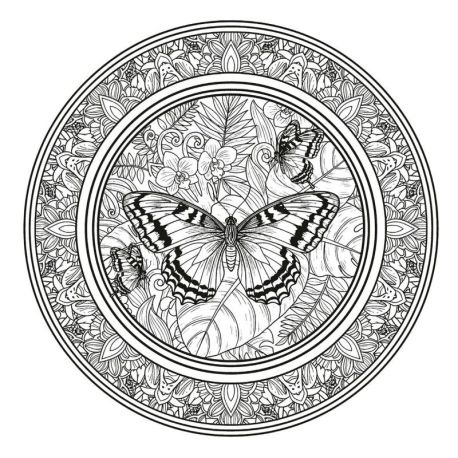 PAPILLONS - 50 COLORIAGES