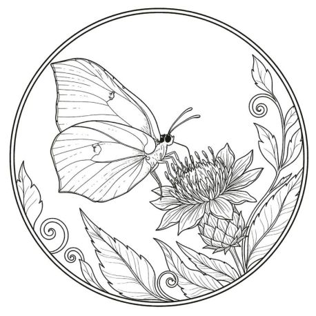 PAPILLONS - 50 COLORIAGES