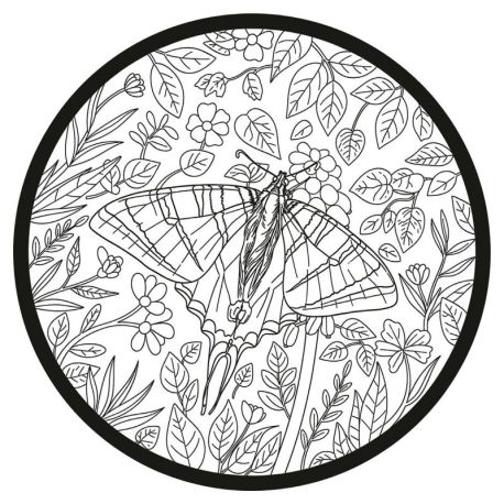 PAPILLONS - 50 COLORIAGES