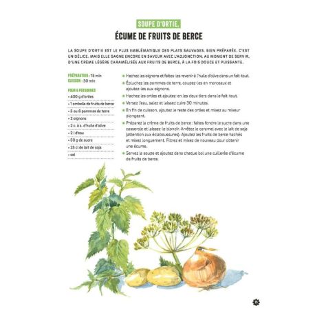 CUISINER LES PLANTES DE MONTAGNE 2E