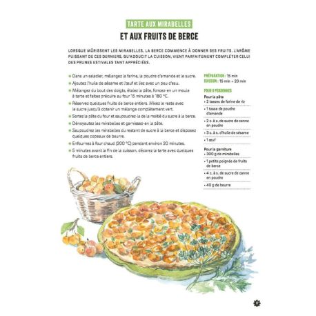 CUISINER LES PLANTES DE MONTAGNE 2E