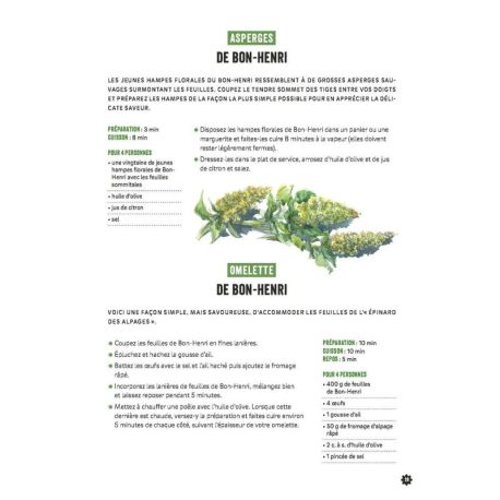 CUISINER LES PLANTES DE MONTAGNE 2E