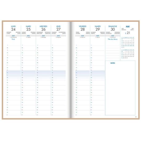 DISPLAY 44 AGENDAS 2027 COLORLINE