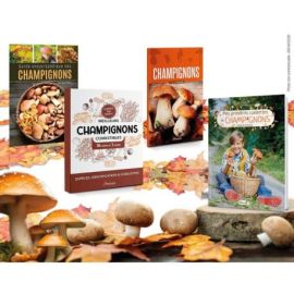PACK CHAMPIGNONS 2026