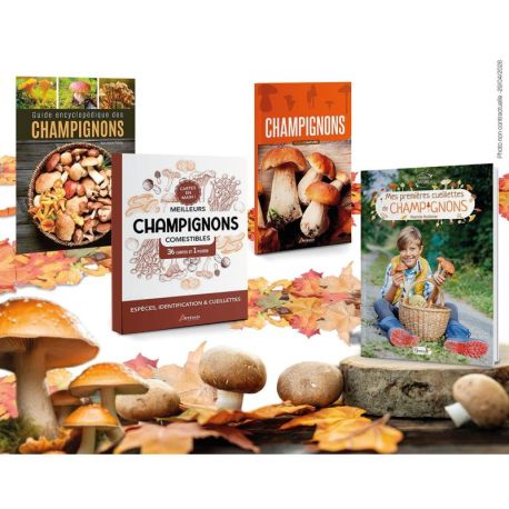 PACK CHAMPIGNONS 2026