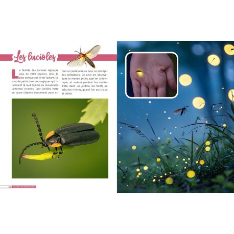 INSECTES ET PETITES BÊTES DECOUVRE LE MONDE EN PHOTOS