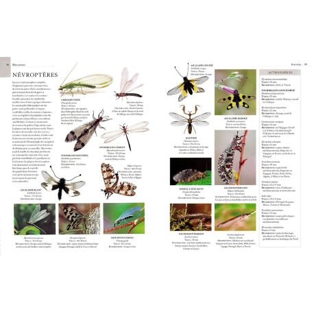 ENCYCLOPÉDIE ILLUSTRÉE DES ARACHNIDES, INSECTES ET AUTRES
