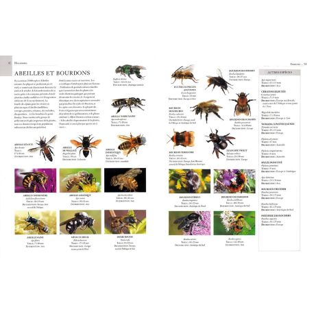 ENCYCLOPÉDIE ILLUSTRÉE DES ARACHNIDES, INSECTES ET AUTRES